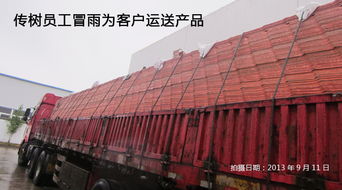 傳樹建材 引領(lǐng)綠色建筑新風(fēng)尚——探索新型環(huán)保建材超強(qiáng)聚酯瓦