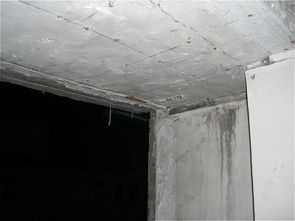 建材與家具 構(gòu)筑美好家居的雙重基石